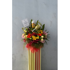Congratulatory
