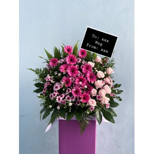 Congratulatory