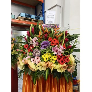 Congratulatory