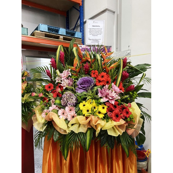 Congratulatory