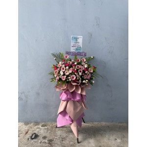 Congratulatory