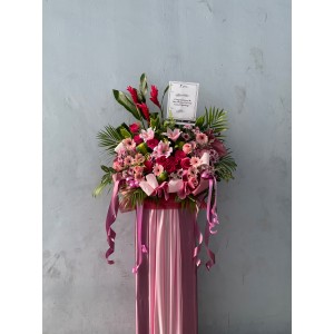 Congratulatory