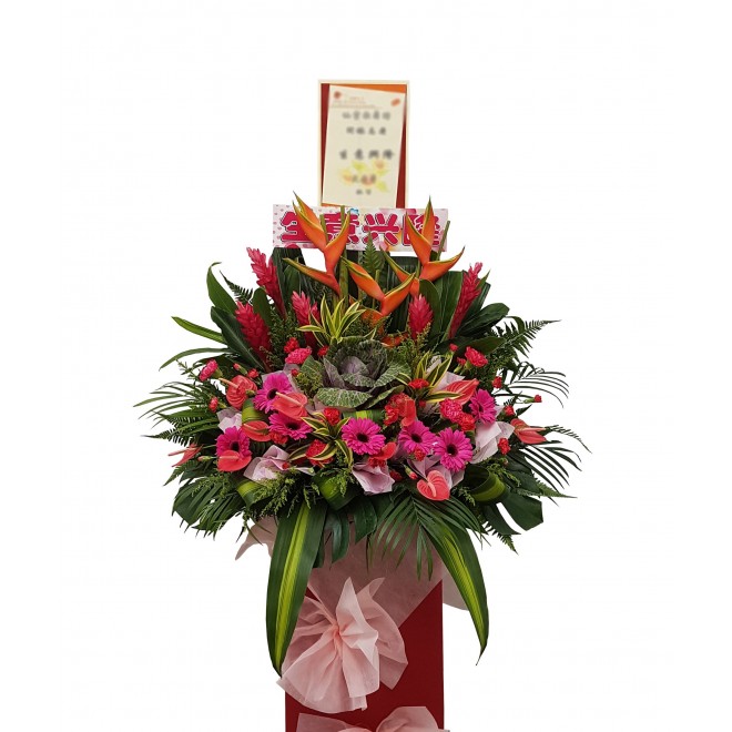 Congratulatory