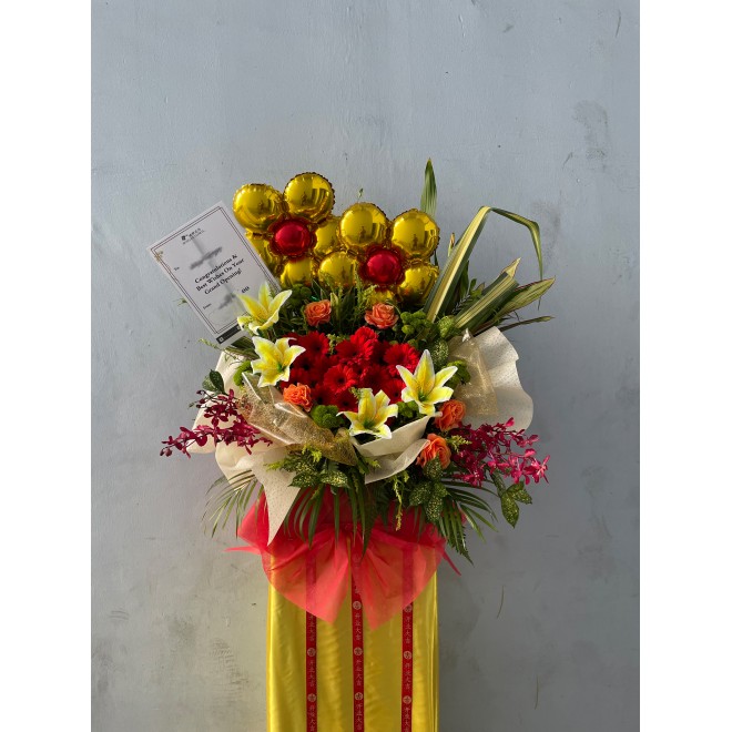 Congratulatory