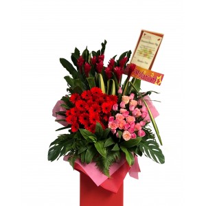 Congratulatory