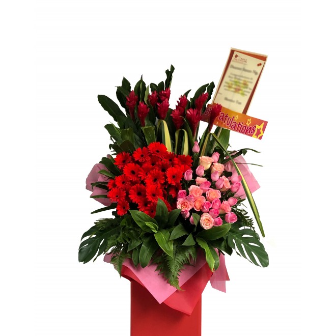 Congratulatory