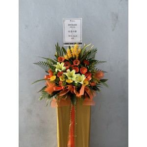 Congratulatory