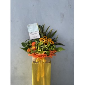 Congratulatory