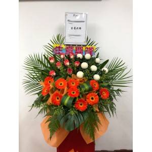 Congratulatory