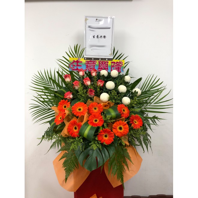 Congratulatory