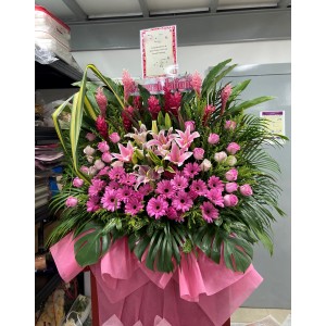 Congratulatory