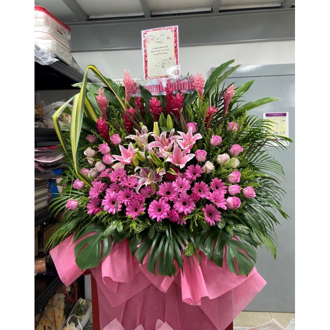 Congratulatory