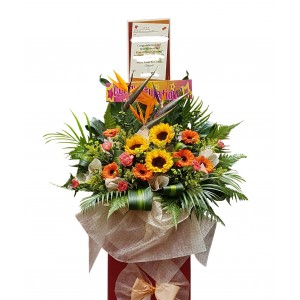 Congratulatory
