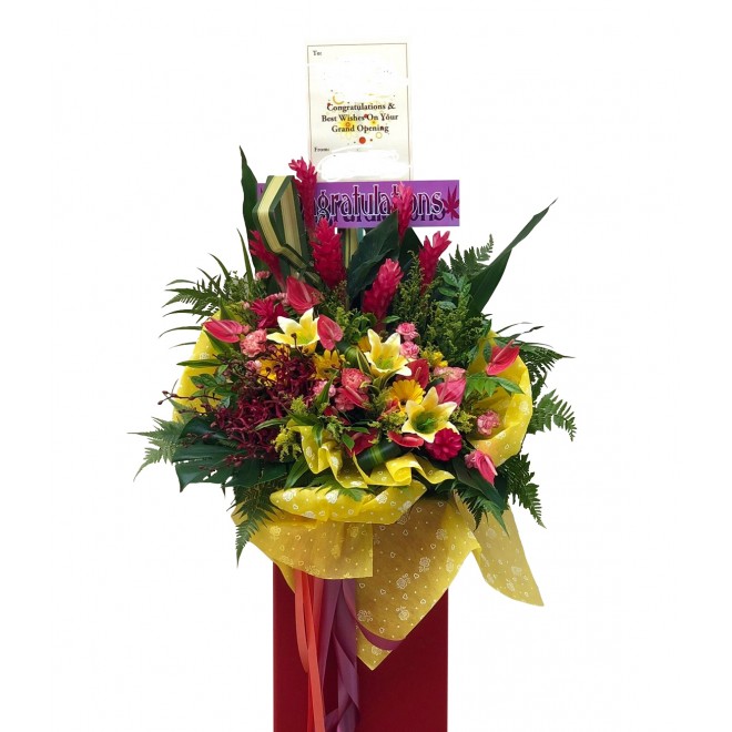 Congratulatory