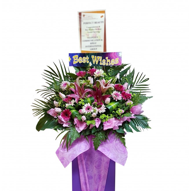 Congratulatory