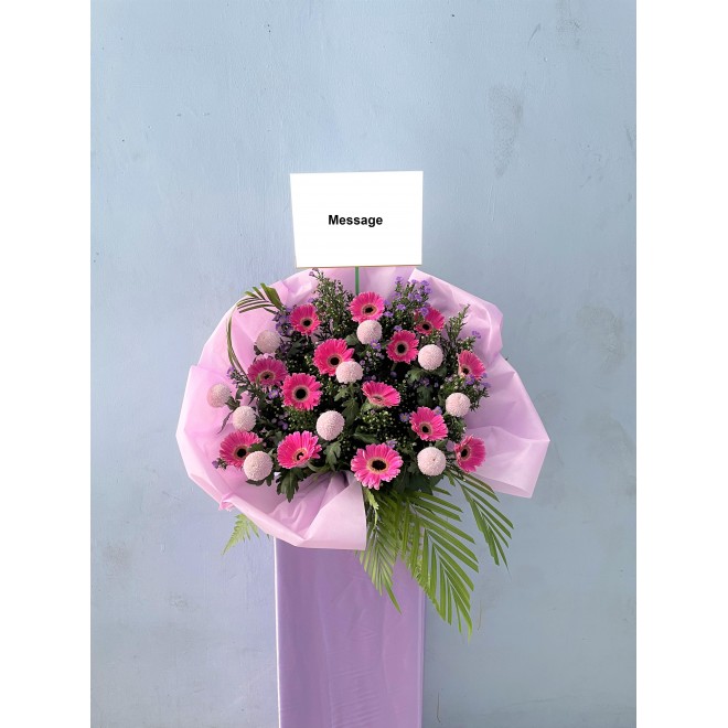 Congratulatory