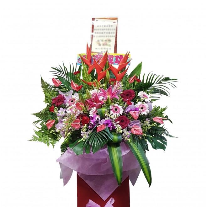Congratulatory