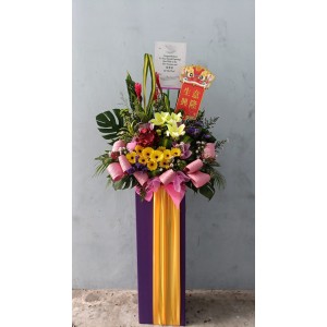 Congratulatory