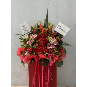 Congratulatory