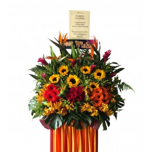 Congratulatory