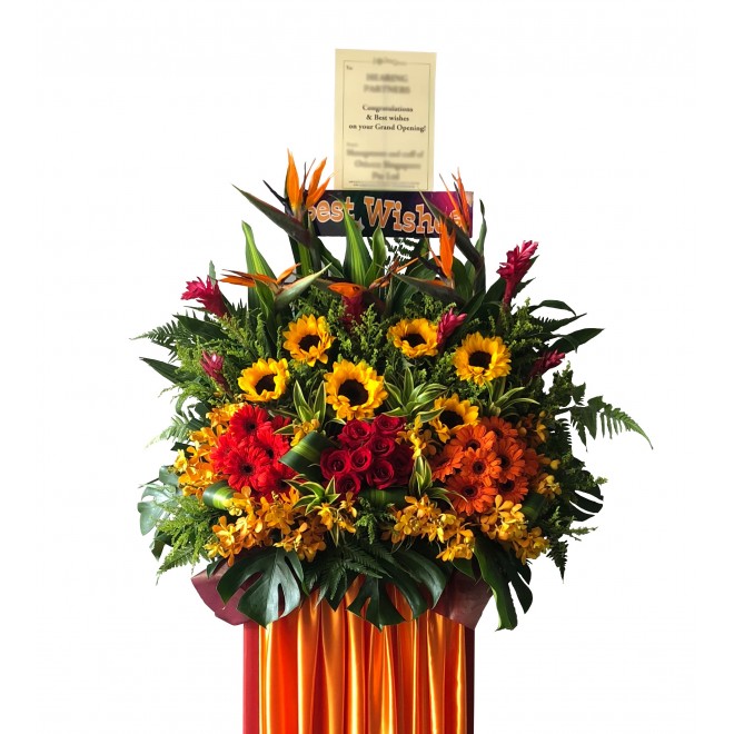 Congratulatory