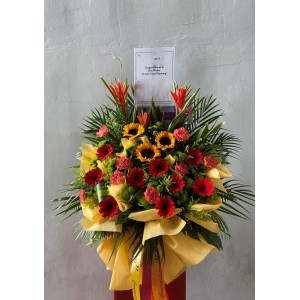 Congratulatory