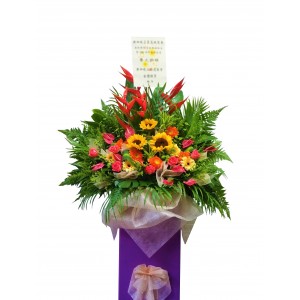 Congratulatory