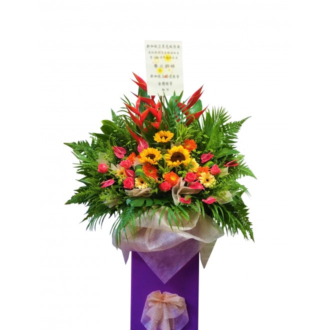 Congratulatory