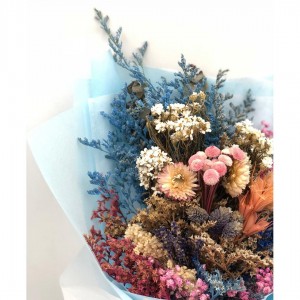 Preserved & Dried flowers