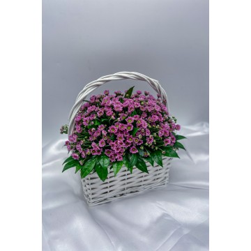 Royal | Flower Basket